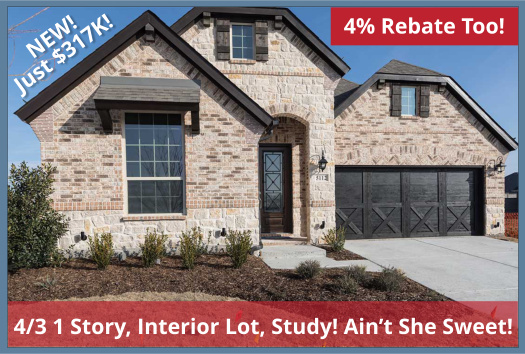 Spec Inventory Home for Sale in Little Elm, Huge Price Reduction